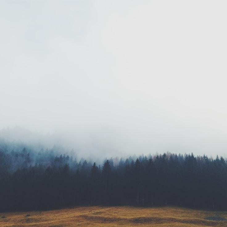 Alpine wilderness landscape